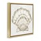 Stupell Industries Clam Shell & Neutral Coral Floating Frame By Yvette St. Amant